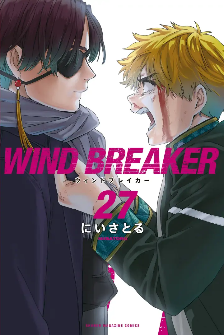 Wind Breaker (NII Satoru)